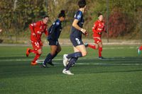 DSC06209.JPG